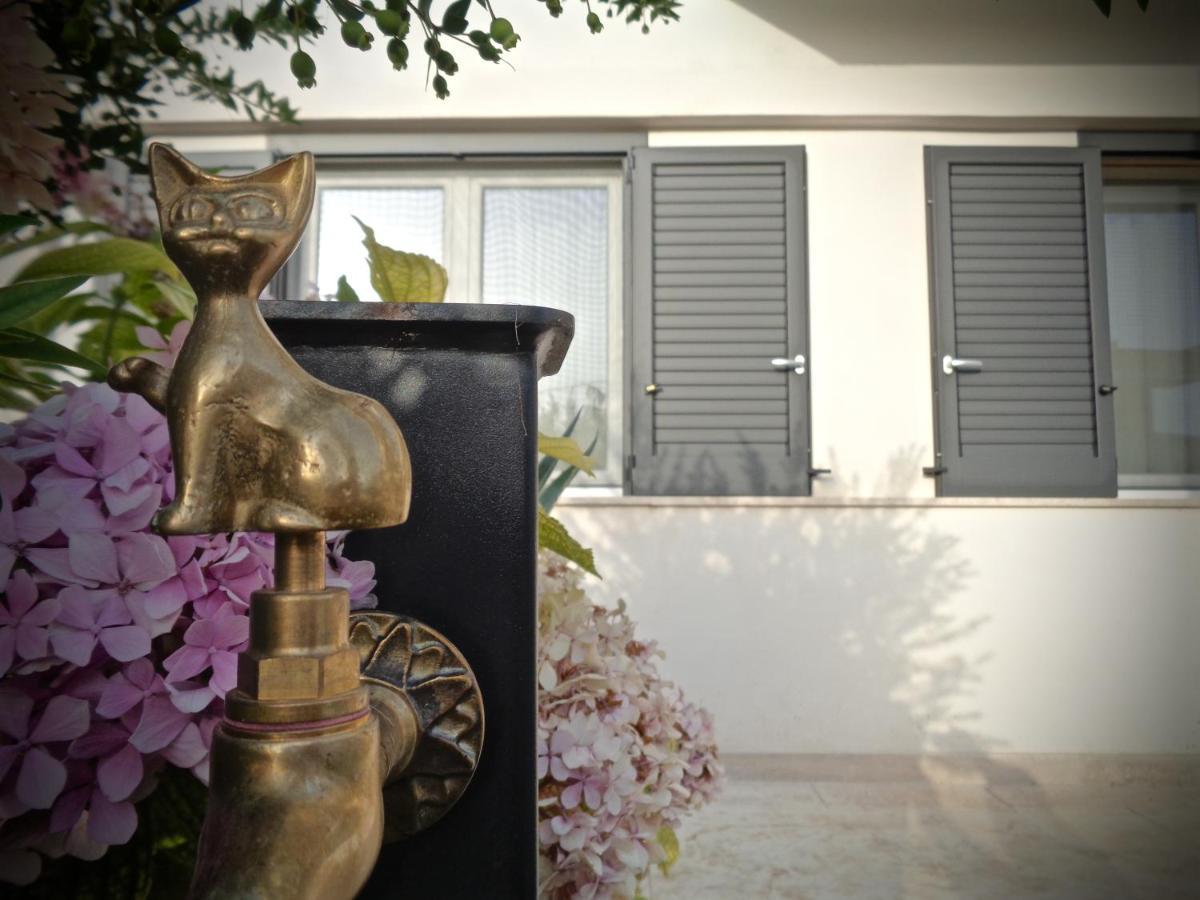 ساليس سالينتينو B&B Dei Ciclopi المظهر الخارجي الصورة